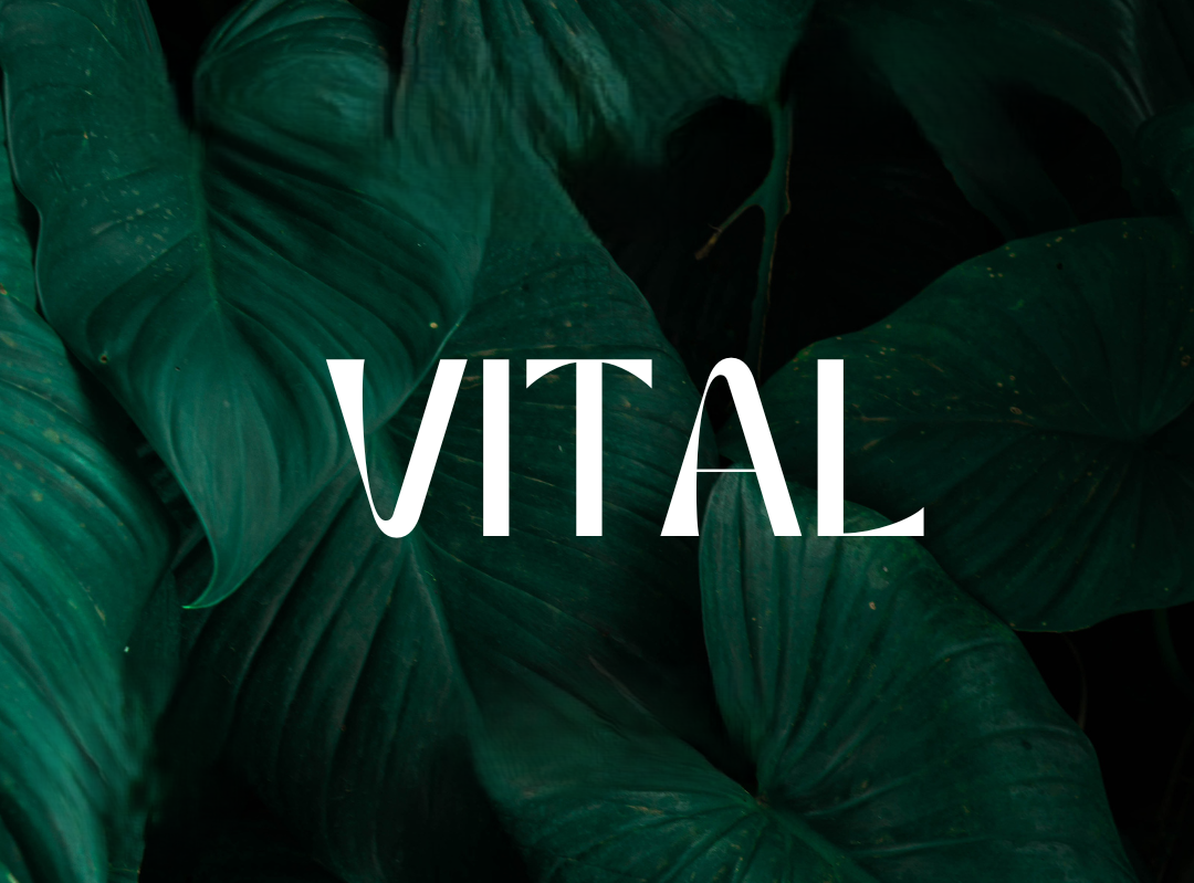 Massage-Soin VITAL